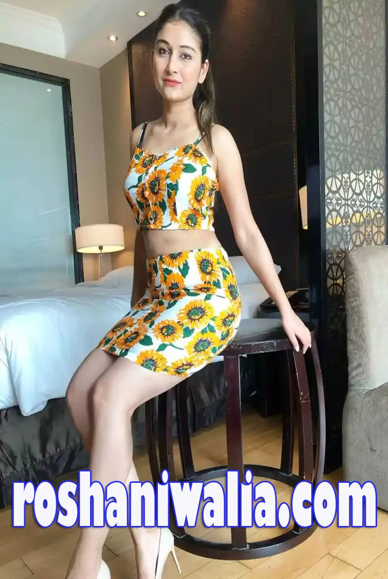 Low Budget agra Escort
